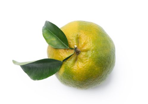 Beautiful immature green tangerine with leaves isolated on white background, clipping path, cut out, close up.