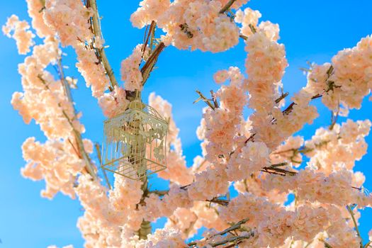 Decoration of blooming cherry flowers. Spring concept. Against the blue sky.