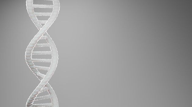 White DNA structure abstract on grey background, 3D rendering.