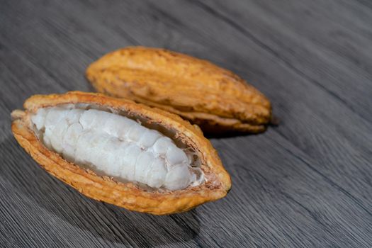 Cutted cocoa pod with beans inside. Fresh cacao at plantation.