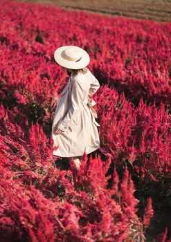 Back side of woman in trench coat and straw hat walking in the red flower field.