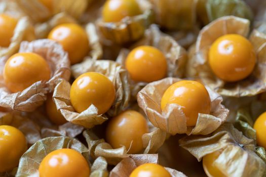 Top view pile of cape gooseberry fruit in the market.