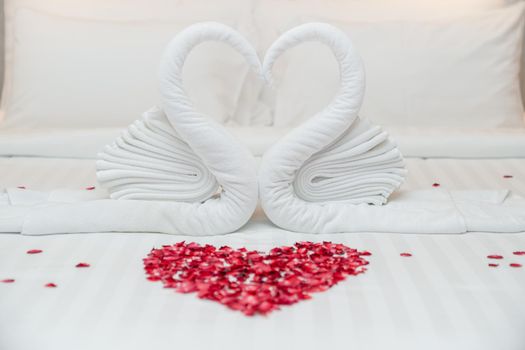 Swan towel on bed and rose petals in heart shape for honeymoon or wedding anniversary, romantic feeling.