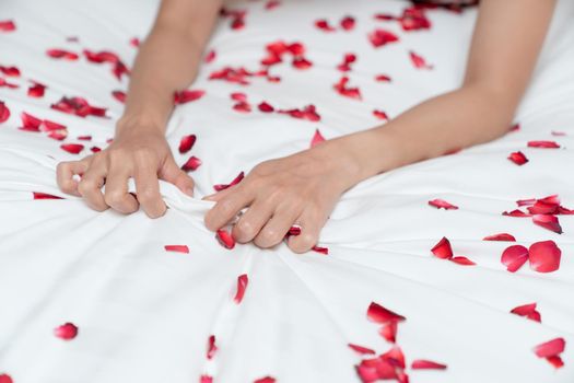 Woman hand grasping white sheet and rose petals. Couple making love or having sex in bedroom.