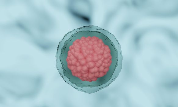 3d : human cell or embryonic stem cell microscope background. 3d rendering