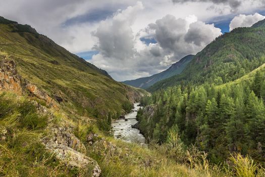 Raging mountain river, Chuya Tributary of the Katun River. Mountain Altai