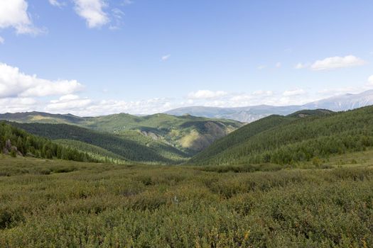Green mountain valley and sky, travel. On the Oroy pass. Mountain Altai. Siberia. Russia.