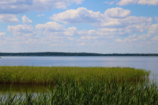 Lake view on a sunny spring day