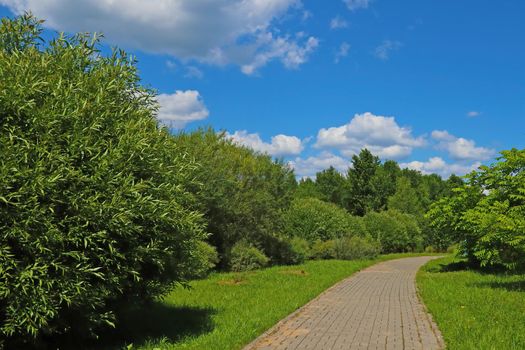 Beautiful walking path in the park for a walk