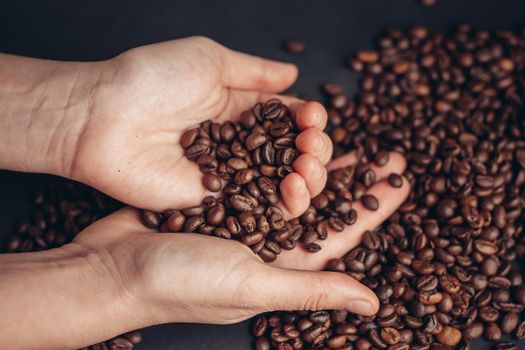 brown coffee beans in hands arabica drink preparation. High quality photo