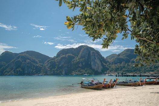 View long tail boat docking at harbor on Ton Sai Bay, Phi Phi Islands, Andaman Sea, Thailand.