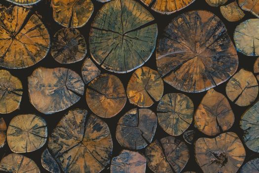 Pile stacked natural sawn wooden logs background wall. Round teak wood stump background.