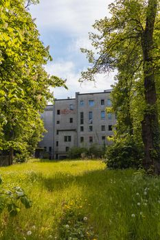 Ruins of old building with high grass and bushes around