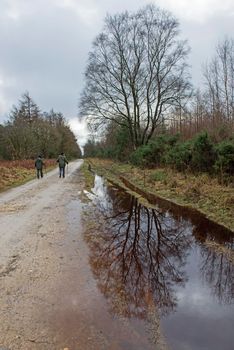 Elderly couple walking along footpath trail through a remote woodland forest in rural countryside landscape in winter with water puddle and tree reflection
