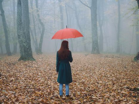 Woman with red umbrella in autumn fog yellow leaves fresh air. High quality photo