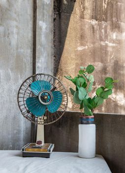 Green leaf in White ceramic vase and old vintage fan on white textured table cloth with old cement wall at the balcony house. Home decor, Selective focus.
