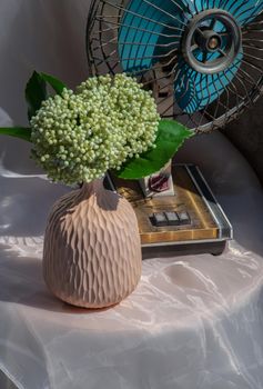 Bouquet of green flowers in Handmade ceramic vase and old vintage fan on pink textured table cloth. Home decor, Selective focus.