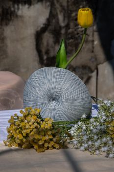 Yellow flower in Blue shell shape ceramic vase on pink textured table cloth with old cement wall.