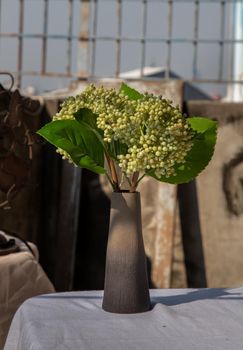 Bouquet of green flowers in ceramic vase on white textured table cloth at the balcony house. Home decor, Selective focus.