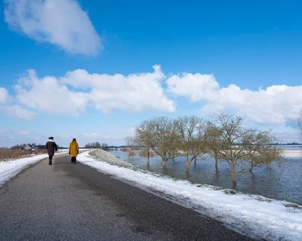 trees in water of floodplanes during flood of river rhine near culemborg in holland under blue sky next to snow covered dike