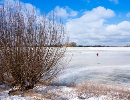 people skate on ice of floodpanes of river rhine near wijk bij duurstede in holland and willow trees under blue sky in dutch winter