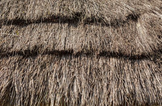 Straw Roof texture. Grasses thatch roof background texture. Roof covered with dried grass. Straw pattern