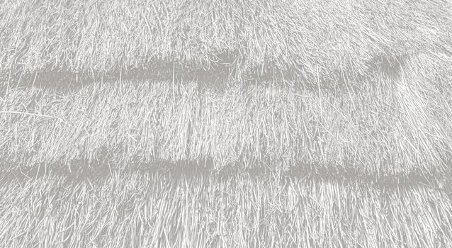 Straw Roof texture. Grasses thatch roof background texture. Roof covered with dried grass. Straw pattern. image in light gray tone