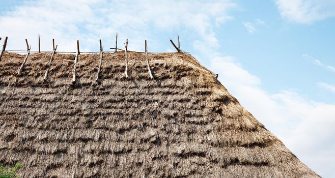 Straw Roof texture. Grasses thatch roof background texture. Roof covered with dried grass. Straw pattern