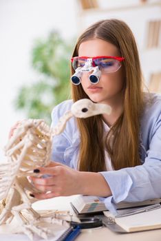 Student examining animal skeleton in classroom