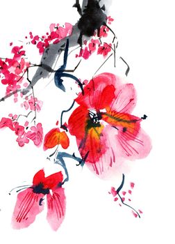 Watercolor and ink illustration of blossom sakura tree with pink flowers and buds. Oriental traditional painting in style sumi-e, u-sin and gohua.