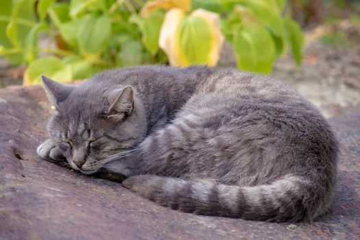 Outdoors on a warm autumn day.