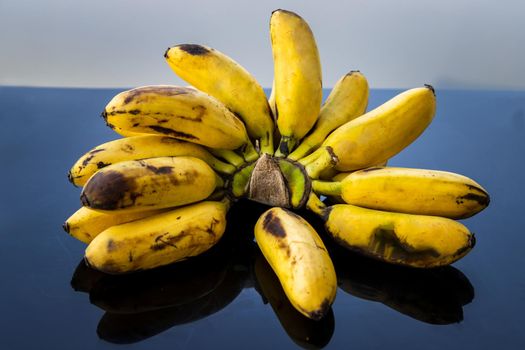Bunch of Lady finger bananas.Tropical Fruit Natural Product on black table. Selective focus.