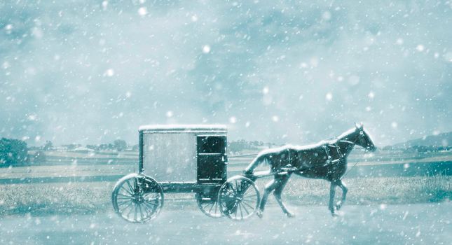 Amish Horse and Buggy Traveling on a Residential Road on a Summer Day