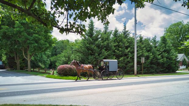 View of an Amish Horse and Buggy Trotting Down a Country Road