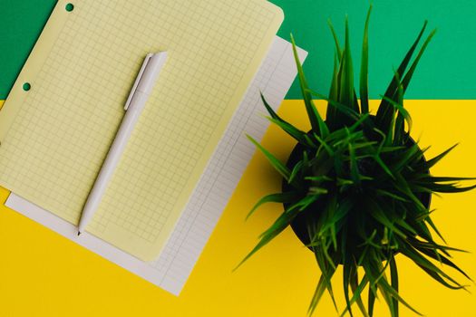 notebook on the table pen flower in a pot work desk colorful background. High quality photo