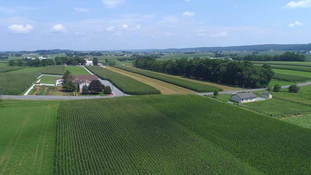 Aerial View of Green Farmlands With Different Crops Growing in the Fields on a Sunny Day