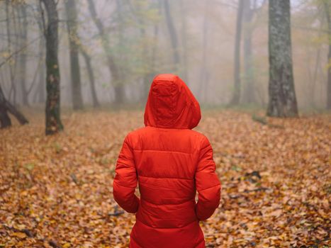 Woman in red jacket in autumn Yellow leaves walk the fog. High quality photo