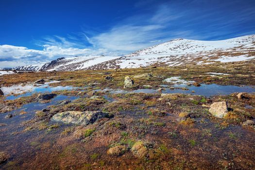 alpine tundra close to Forest Canyon Overlook in Rocky Mountains National Park, Colorado, USA