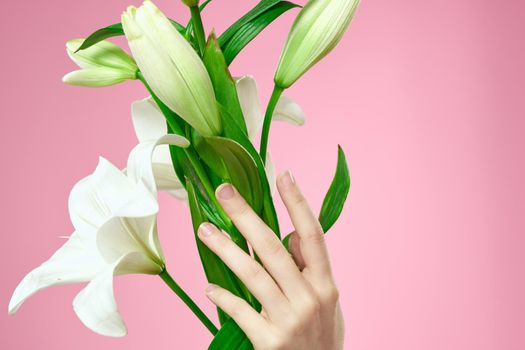 Bouquet of white flowers and female hands on a pink background cropped view. High quality photo