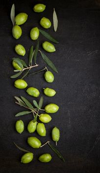 Olive oil and olive branch on the black background