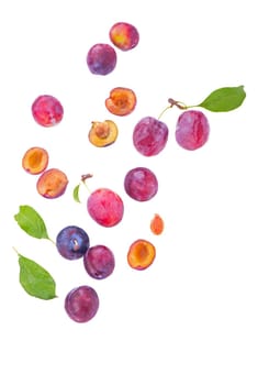 Ripe plums with leaves close up on white background.