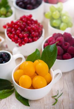 berry mix isolated on a white background.