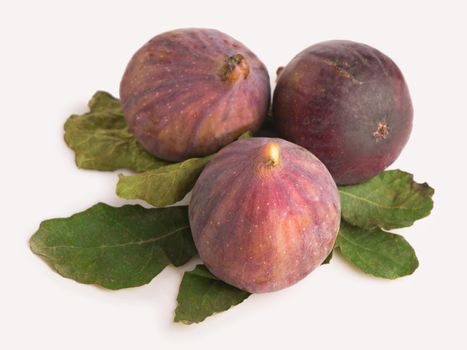 Fruits figs with fig leaves on white background