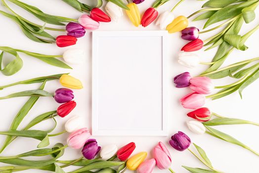 Frame mock up with beautiful colorful tulips on white background. Flat lay, top view.