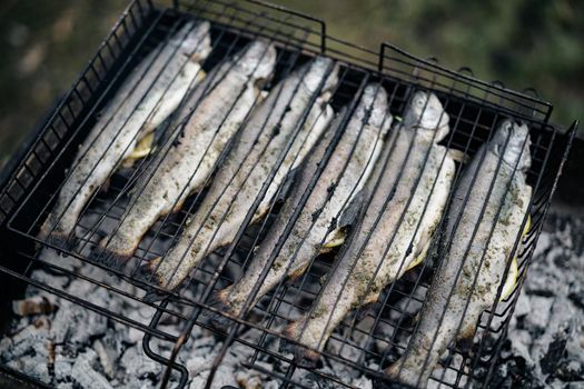 dried fish grilled on the grill nature Food. High quality photo