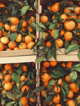 Ripe tangerines in boxes at the market, citrus fruits. High quality photo