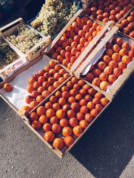 Harvest of autumn fruits. Ripe persimmon grapes in boxes. High quality photo
