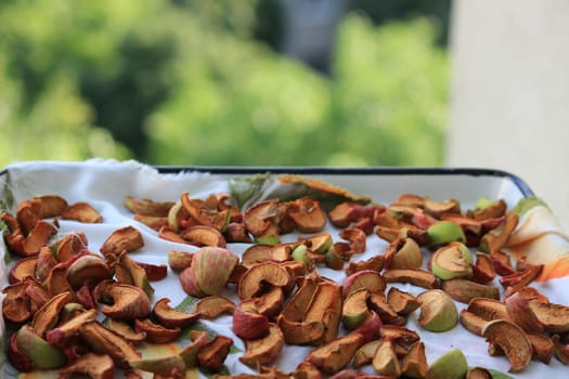 Dried apples on a tray. High quality photo