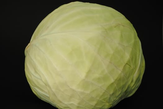 Fresh vegetables. The great white cabbage is isolated on a black background. High quality photo