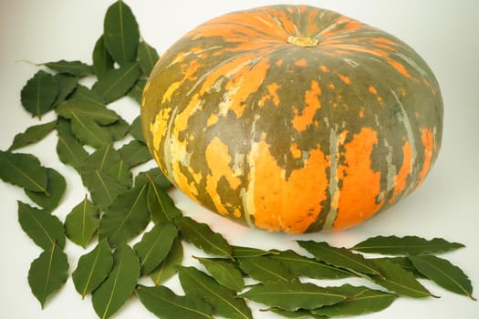 Ripe orange pumpkin and green ripe zucchini with a bay leaf on a white background. High quality photo